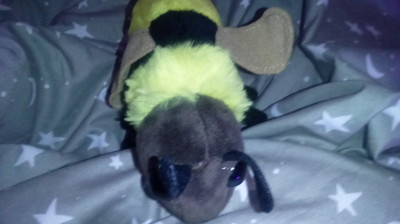 WHAT I WILL NOT BE DOING ON BIRTHDAY & IN 2025.