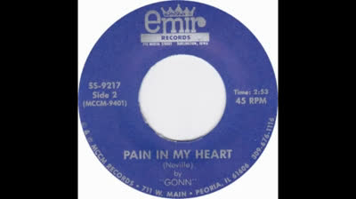 Gonn (1966) - Pain In My Heart