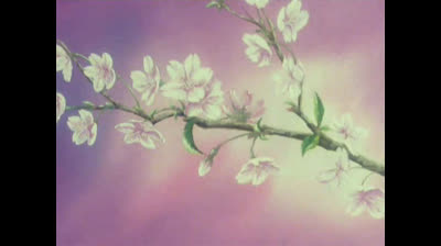 Forza Sugar - 35 - Domani e ancora domani