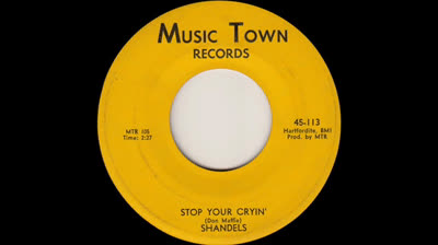 Shandels (1966) - Stop Your Cryin'
