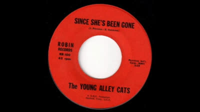 Young Alley Cats (1966) - Since She's Been Gone
